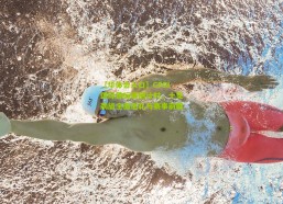 【华体会入口】CFGI国际锦标赛倒计时，十支劲旅全面巡礼与赛事前瞻