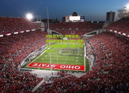 华体会入口_传奇永恒，安联球场外贝肯鲍尔雕像今日隆重揭幕，致敬足球皇帝